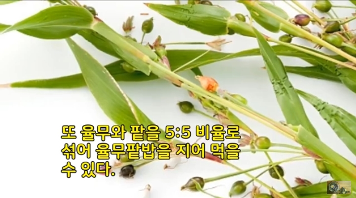 2018-10-30 12-16-00_2018-11-12 13-41-47.jpg