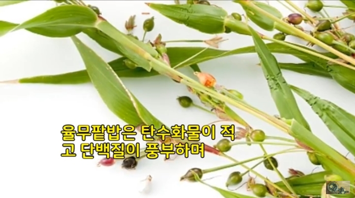 2018-10-30 12-16-00_2018-11-12 13-41-52.jpg