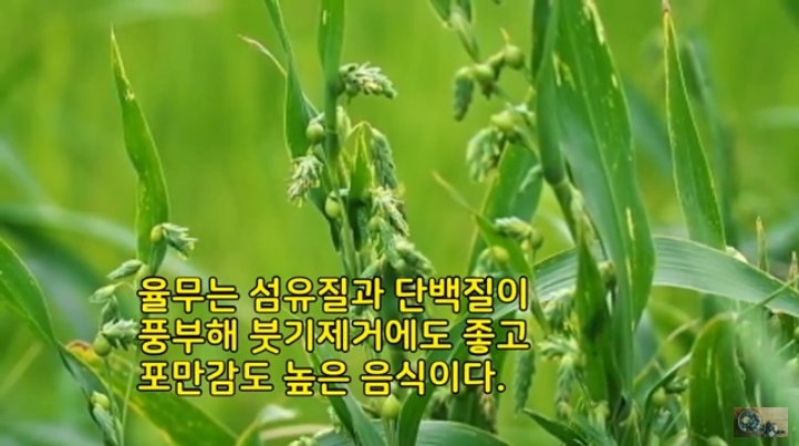 2018-10-30 12-16-00_2018-11-12 13-42-19.jpg