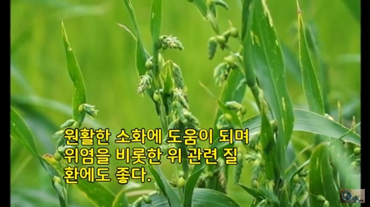 2018-10-30 12-16-00_2018-11-12 13-42-28.jpg